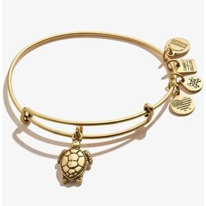 Alex and Ani Sea Turtle Charm Bangle from the Charity by Design collection NWT